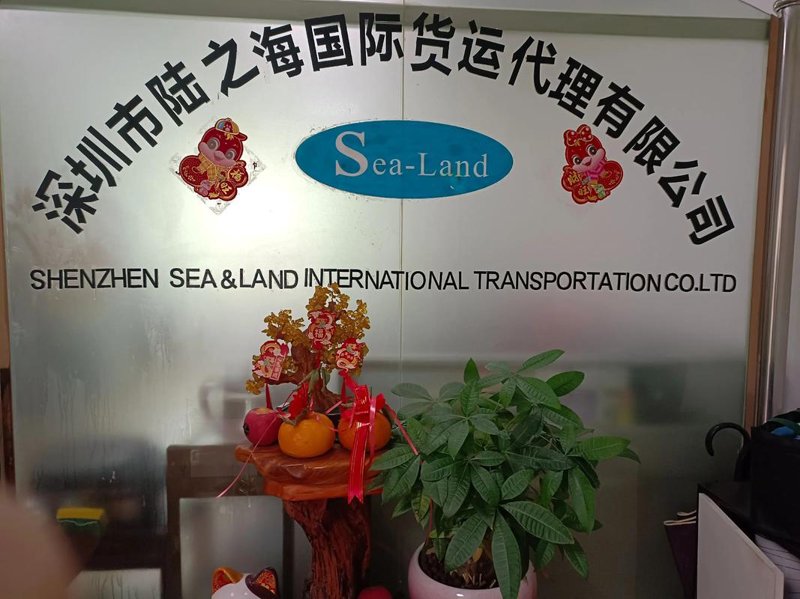 中国外贸新活力：广州领飞贸易有限公司引领行业变革