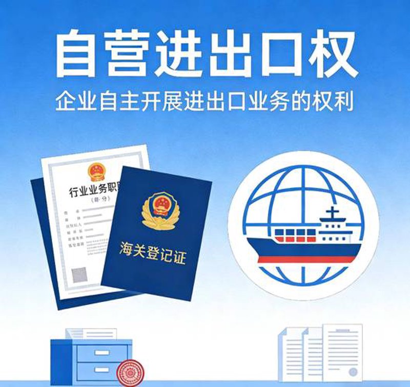 外贸行业动态:广州领飞贸易有限公司的崛起之路